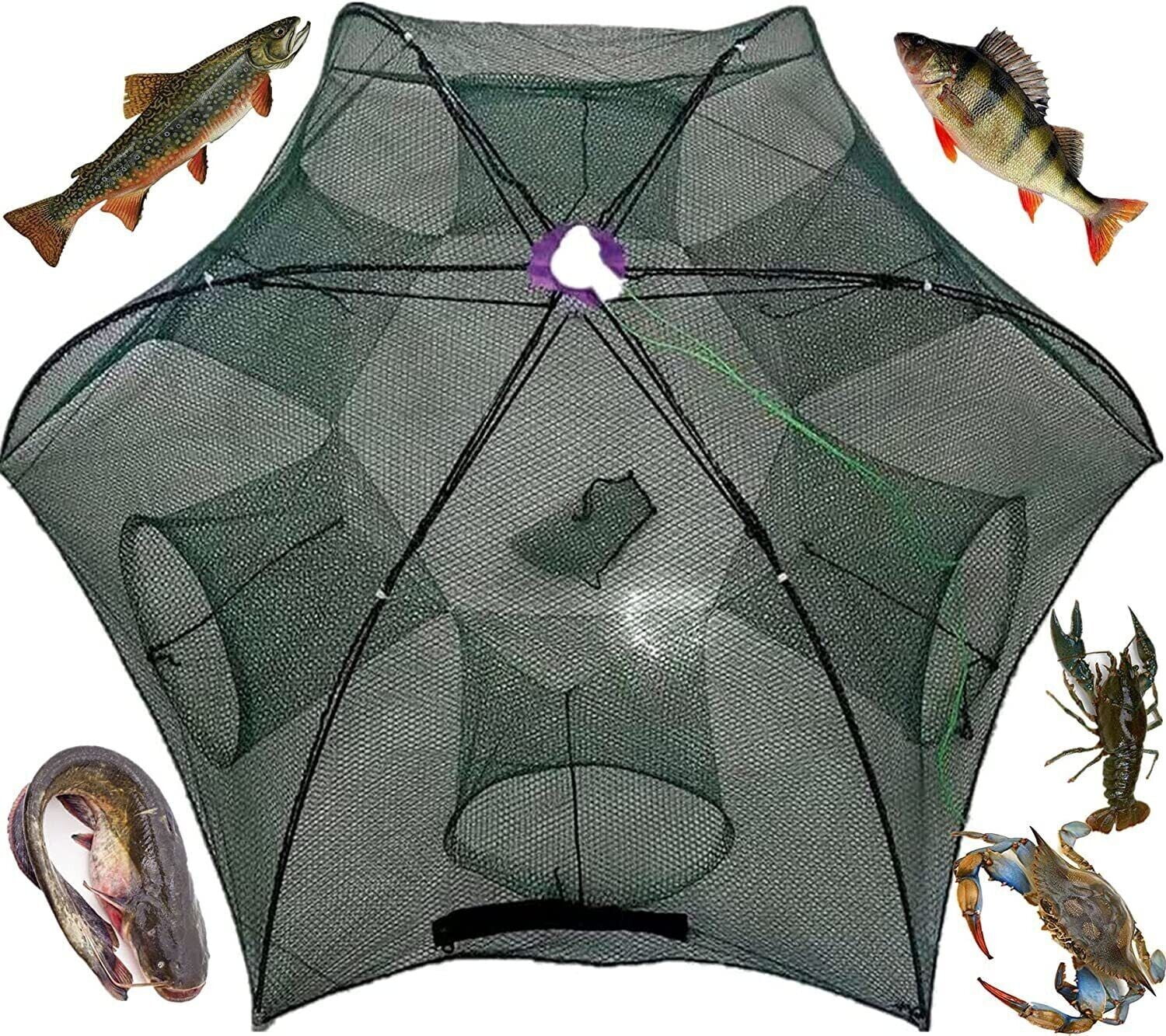 Magic Fishing Trap – Crab, Minnow, Crawfish, Shrimp, Pinfish, Catfish –  Harry Jean