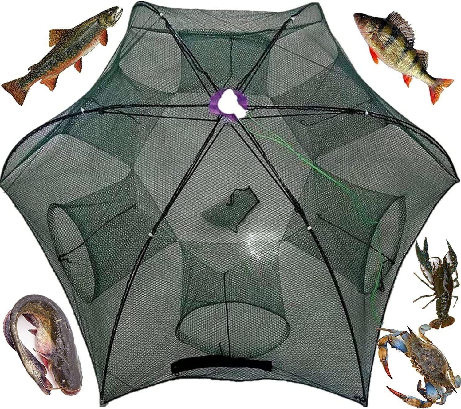 Crab Cage Crab Cage
