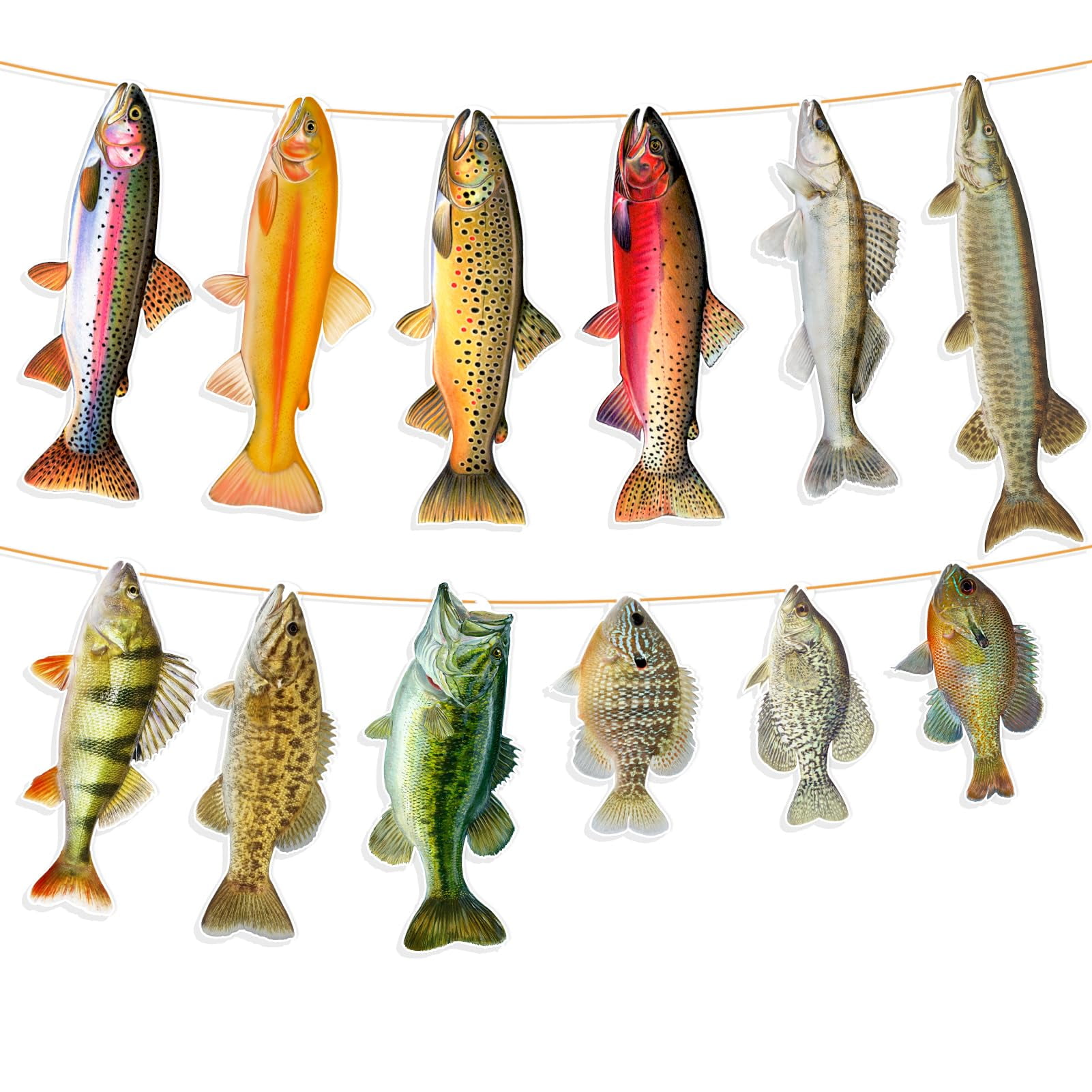 Fishing Birthday Decorations, Gone Fishing Party Supplies Sunfish Trout  Bass Fishing Banner for Adults ZSLLCand Kids 