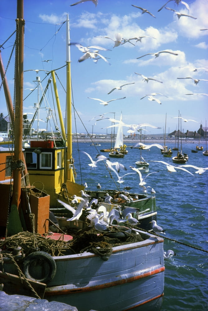 Fishing Boat Canvas Art - The Irish Image Collection Design Pics (24 x 38)