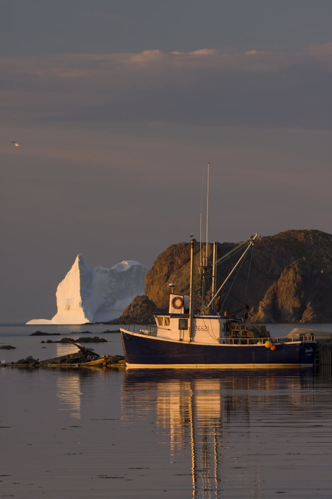 Fishing Boat Near An Iceberg Durrell Newfoundland And Labrador Canvas Art - John Sylvester Design Pics (11 x 17)