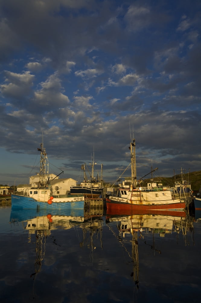 Fishing Boats Durrell Newfoundland And Labrador Canvas Art - John Sylvester Design Pics (11 x 17)