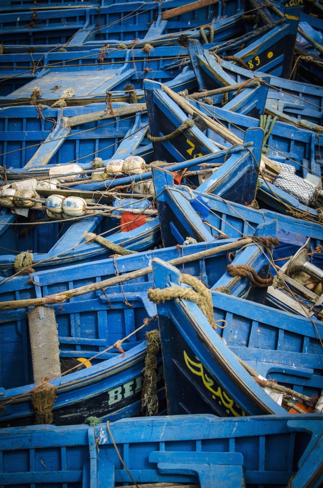 Fishing Boats Morocco Canvas Art - Alex Adams Design Pics (24 x 38)