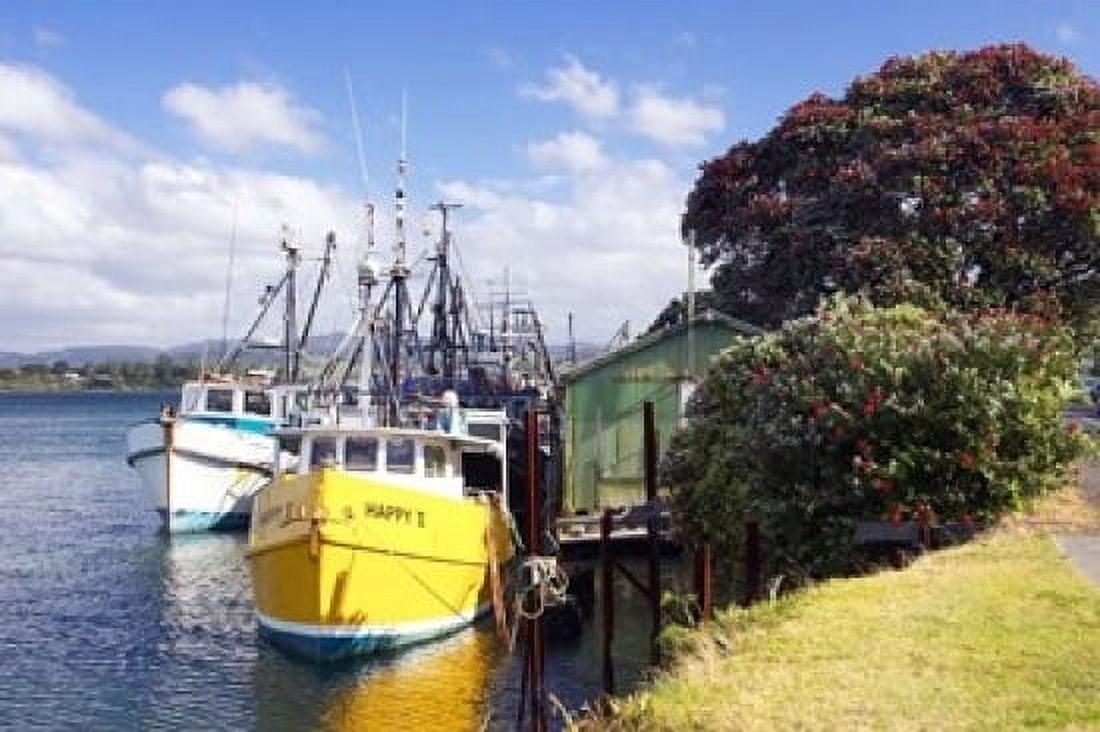 Fishing Boats Tauranga Harbor Tauranga New Zealand Canvas Art - David Wall DanitaDelimont (36 x 24)
