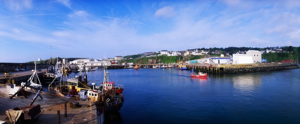 Fishing Harbour Dunmore East Ireland Canvas Art - The Irish Image Collection Design Pics (44 x 18)