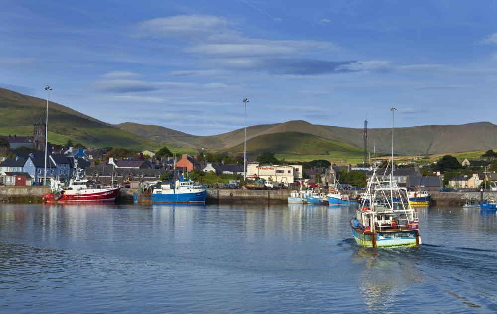 Fishing Harbour in Dingle Town Dingle Peninsula County Kerry Ireland Canvas Art - Panoramic Images (36 x 12)