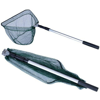 https://i5.walmartimages.com/seo/Fishing-Landing-Net-with-Telescoping-Pole-Handle-Fishing-Net-Freshwater-for-Kids-Men-Women-Extend-to-35-8-74-8-Inches_ae89d7ec-5cd9-4e3b-aa85-f326ad31c4fd.d4eb052c54fac3a2003e66f5b9ada5b0.jpeg?odnHeight=320&odnWidth=320&odnBg=FFFFFF