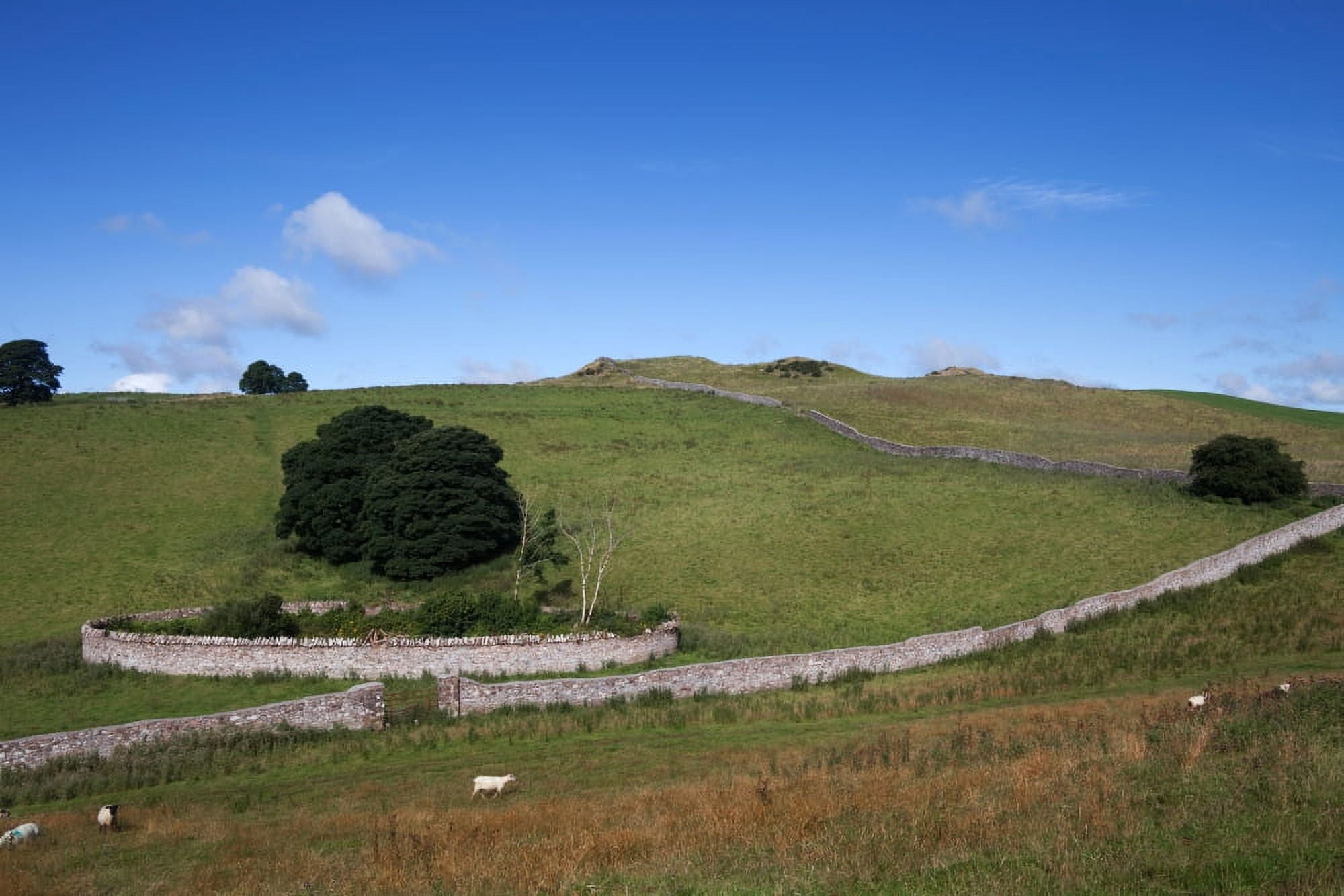 Fishing Pool - now neglected Carbane West Loughcrew County Meath Ireland Canvas Art - Panoramic Images (27 x 9)