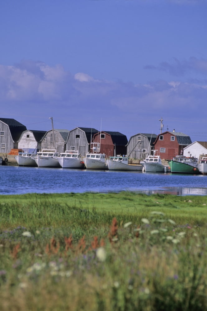 Fishing Shacks Line The Bay At Malpeque Harbour Pei Canvas Art - Leanna Rathkelly Design Pics (22 x 34)