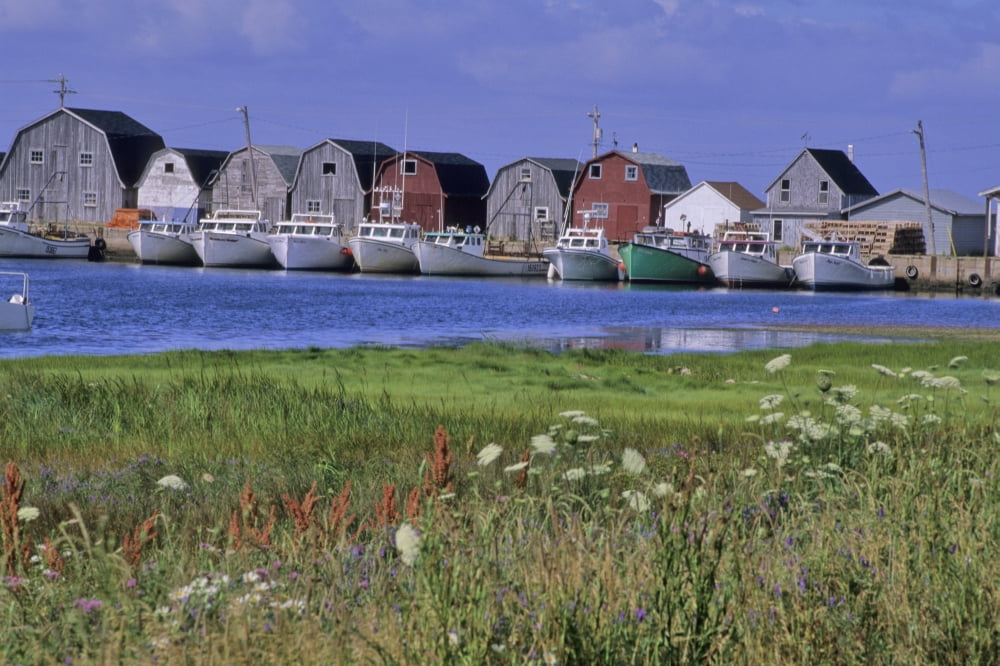 Fishing Shacks Line The Bay At Malpeque Harbour Pei Canvas Art - Leanna Rathkelly  Design Pics (34 x 22)