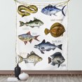 thumbnail image 1 of Fishing Theme Tapestry, Various Fish Types Like Eel Tuna Haddock and Roach with Written Names, Wall Hanging for Bedroom Living Room Dorm Decor, 40W X 60L Inches, White Multicolor, by Ambesonne, 1 of 2