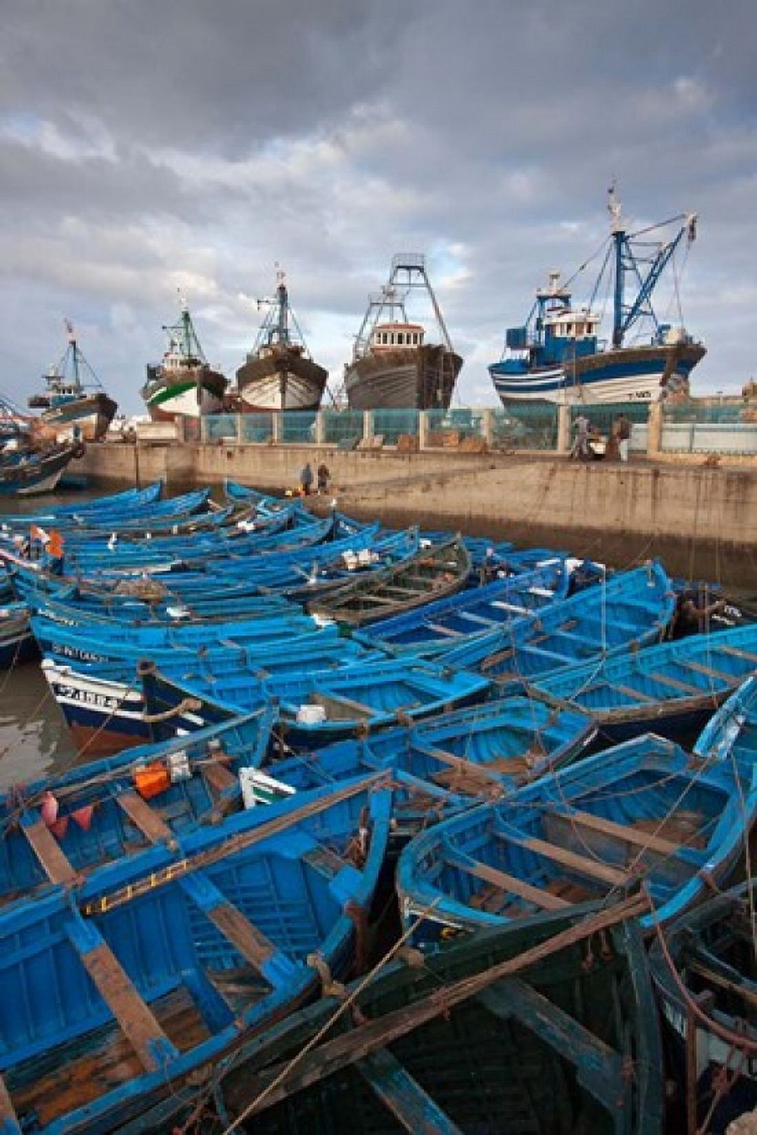 Fishing boats Essaouira Morocco Canvas Art - William Sutton DanitaDelimont (23 x 34)
