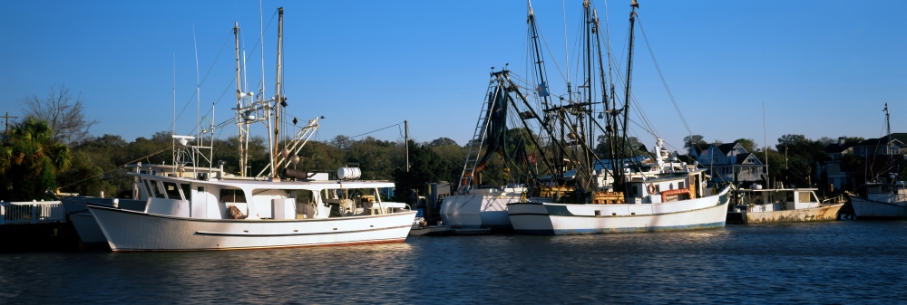 Fishing boats at a harbor Charleston South Carolina USA Canvas Art - Panoramic Images (36 x 12)