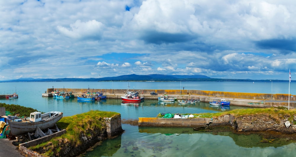 Fishing boats at a harbor Helvick Harbour An Rinn County Waterford Republic Of Ireland Canvas Art - Panoramic Images (36 x 12)