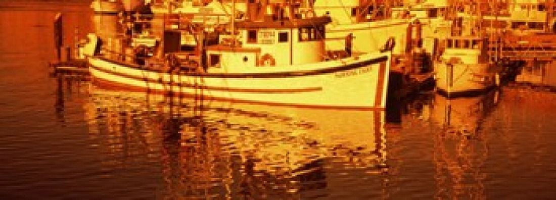 Fishing boats in the bay Morro Bay San Luis Obispo County California USA Canvas Art - Panoramic Images (18 x 7)