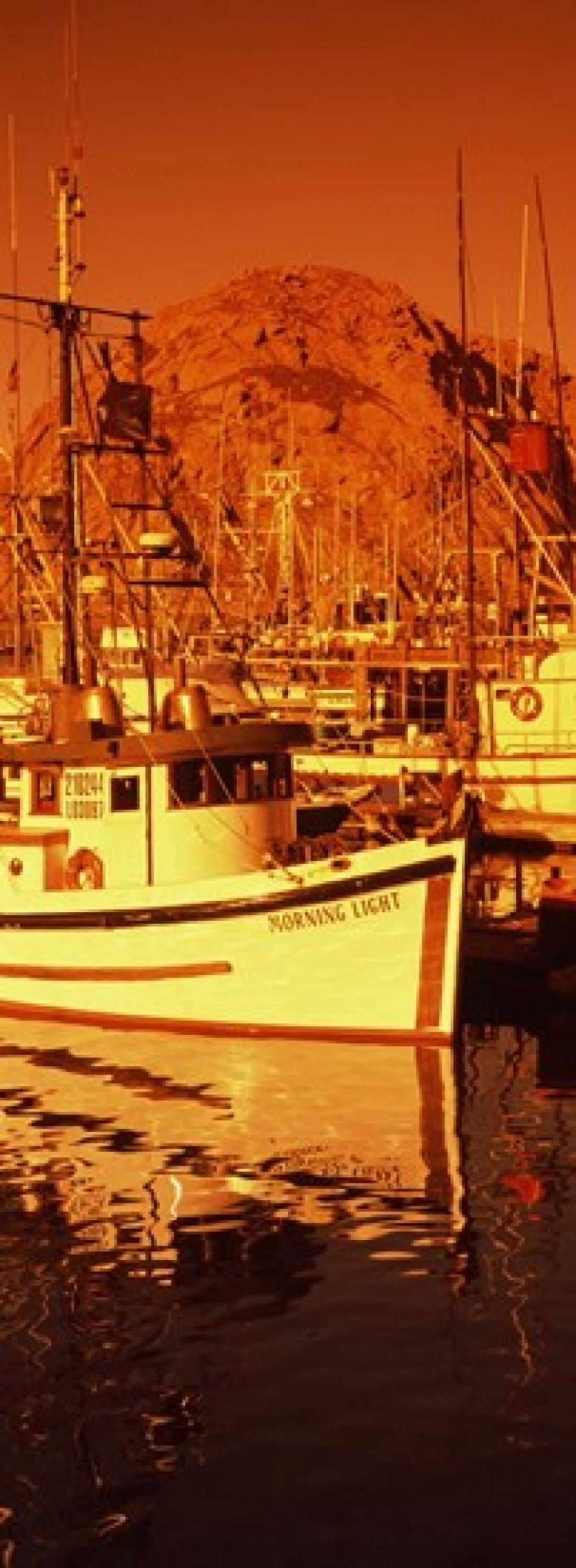 Fishing boats in the bay Morro Bay San Luis Obispo County California USA Canvas Art - Panoramic Images (36 x 13)