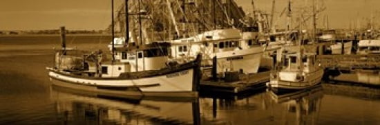 Fishing boats in the sea Morro Bay San Luis Obispo County California USA Canvas Art - Panoramic Images (36 x 12)