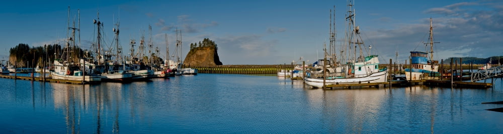 Fishing boats moored at a harbor La Push Clallam County Washington State USA Canvas Art - Panoramic Images (12 x 42)