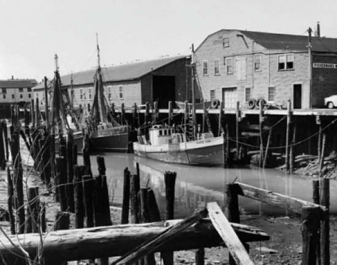Fishing boats moored in a harbor Gloucester Massachusetts USA Canvas Art - (18 x 24)