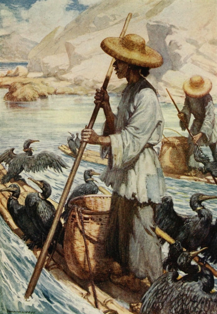 Fishing with cormorants China 1910 Canvas Art - Norman H Hardy (18 x 24)