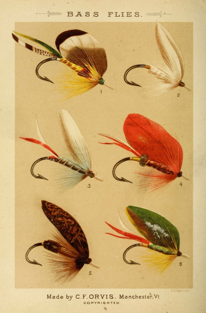 Fishing with the Fly 1883 Bass Flies 1 Canvas Art - Unknown (24 x 36)