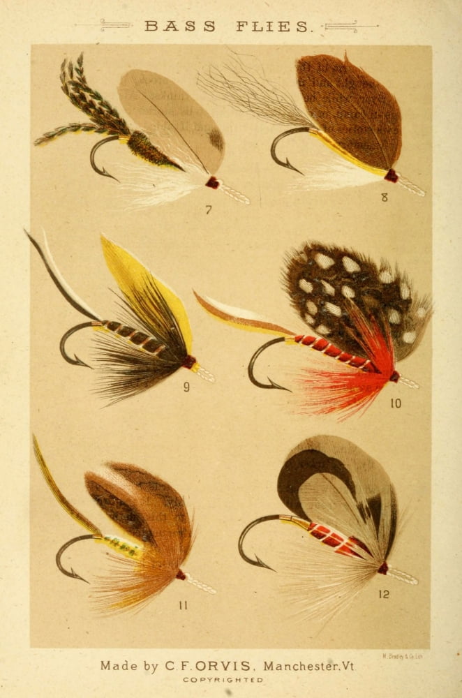 Fishing with the Fly 1883 Bass Flies 2 Canvas Art - Unknown (18 x 24)