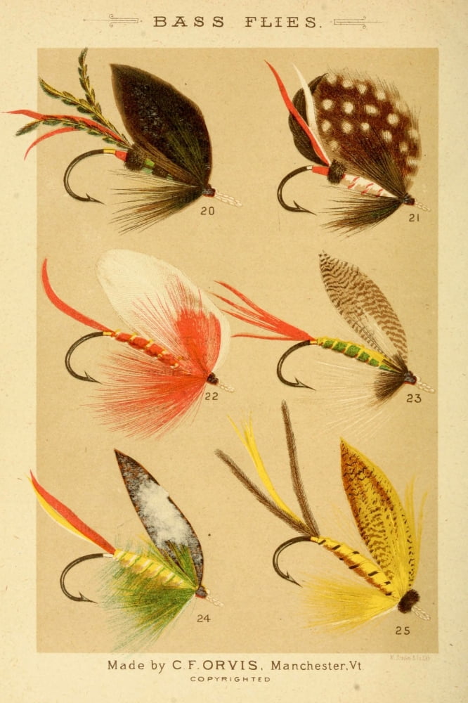 Fishing with the Fly 1883 Bass Flies 4 Canvas Art - Unknown (18 x 24)