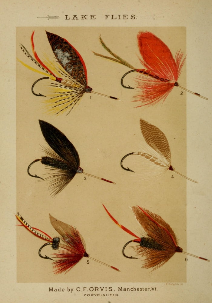Fishing with the Fly 1883 Lake Flies 1 Canvas Art - Unknown (24 x 36)