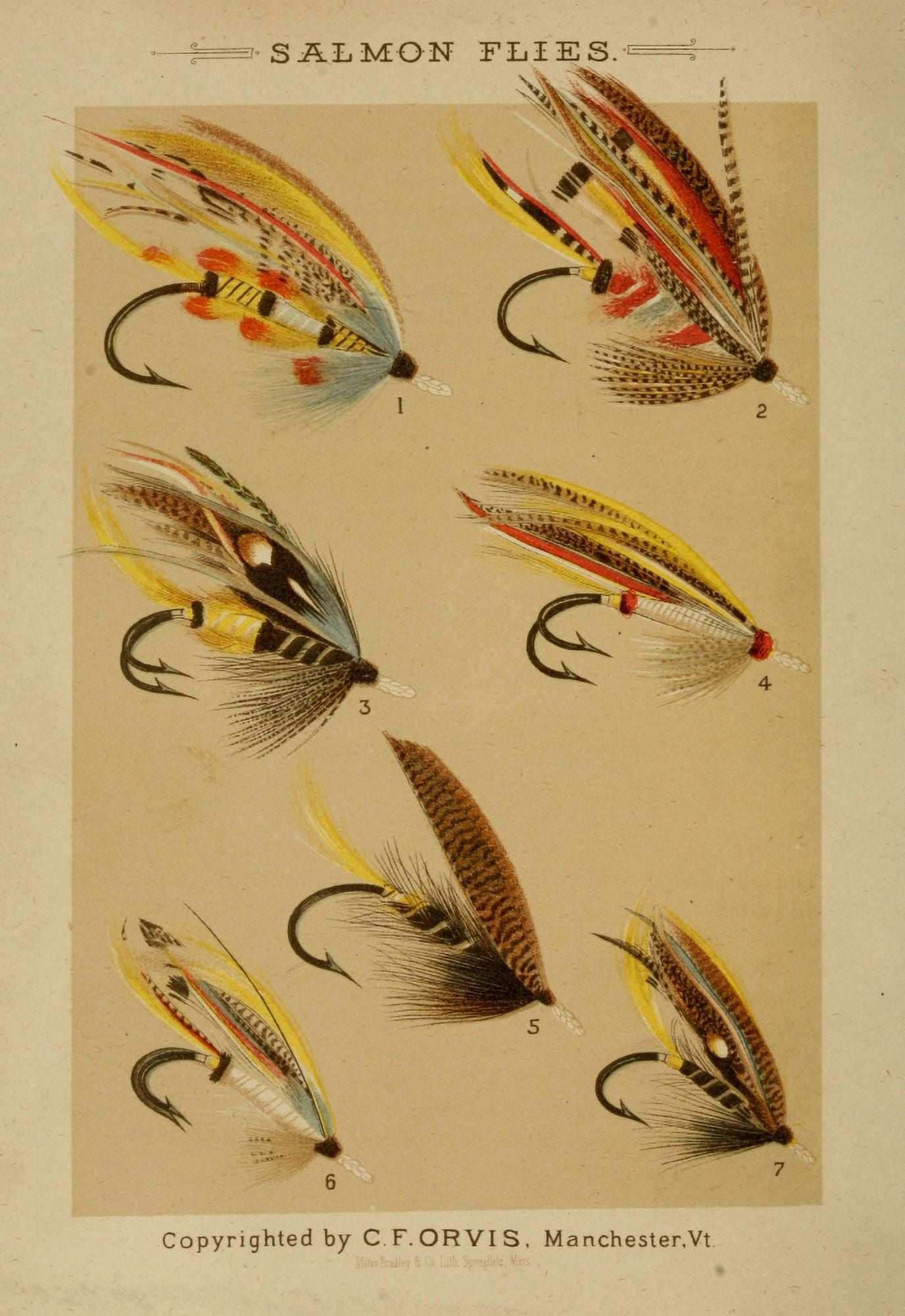 Fishing with the Fly 1883 Salmon Flies Canvas Art - Unknown (18 x 24)