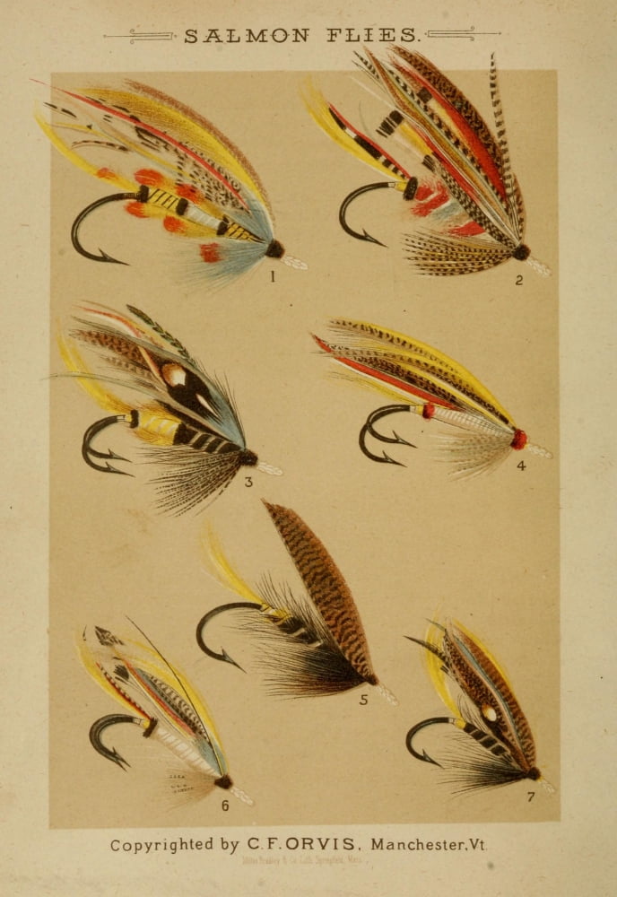 Fishing with the Fly 1883 Salmon Flies Canvas Art - Unknown (24 x 36)