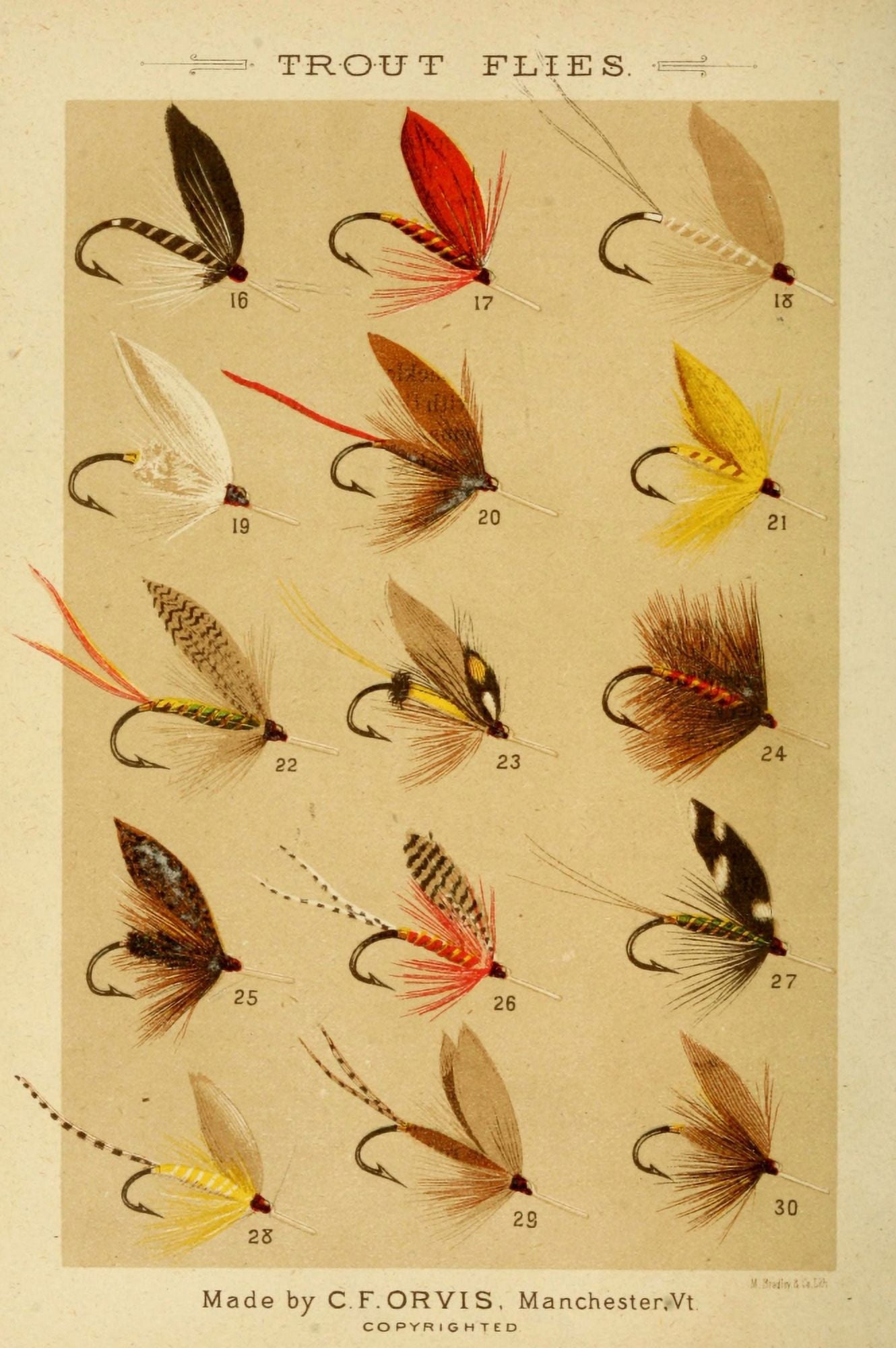 Fishing with the Fly 1883 Trout Flies 2 Canvas Art - Unknown (18 x 24)