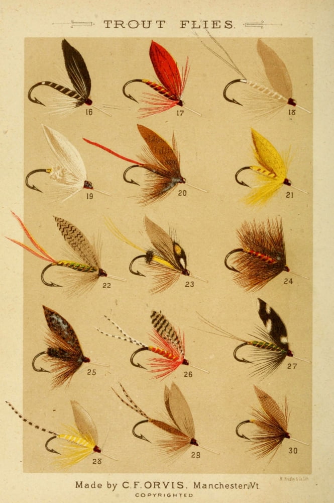 Fishing with the Fly 1883 Trout Flies 2 Canvas Art - Unknown (24 x 36)