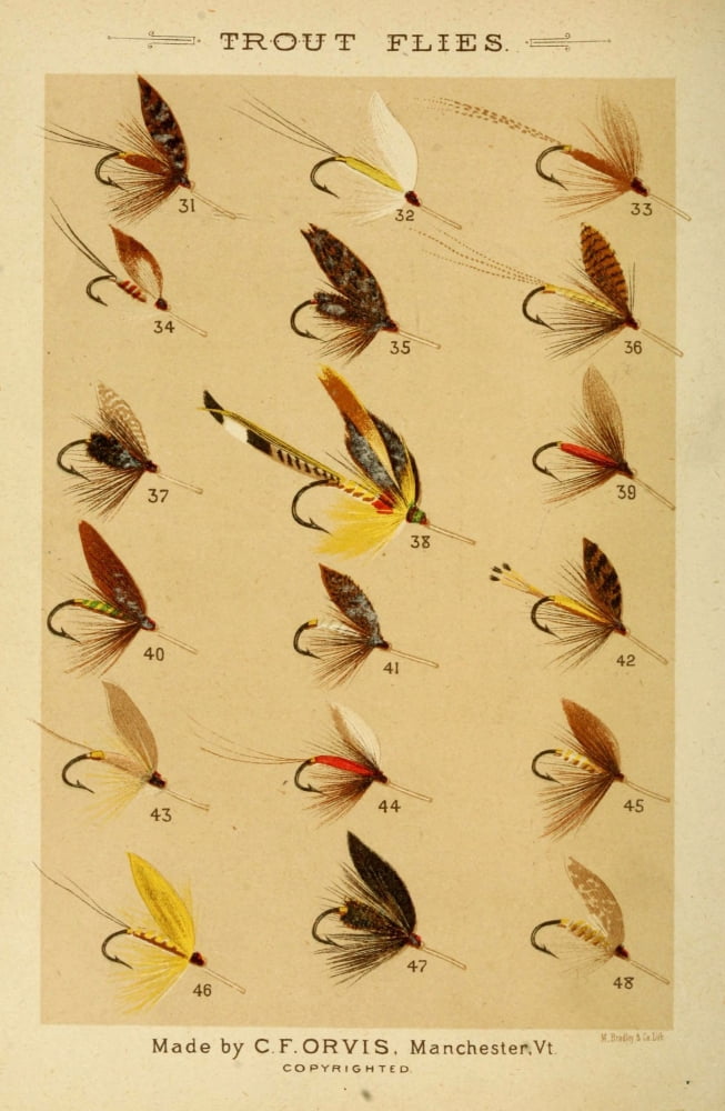 Fishing with the Fly 1883 Trout Flies 3 Canvas Art - Unknown (18 x 24)