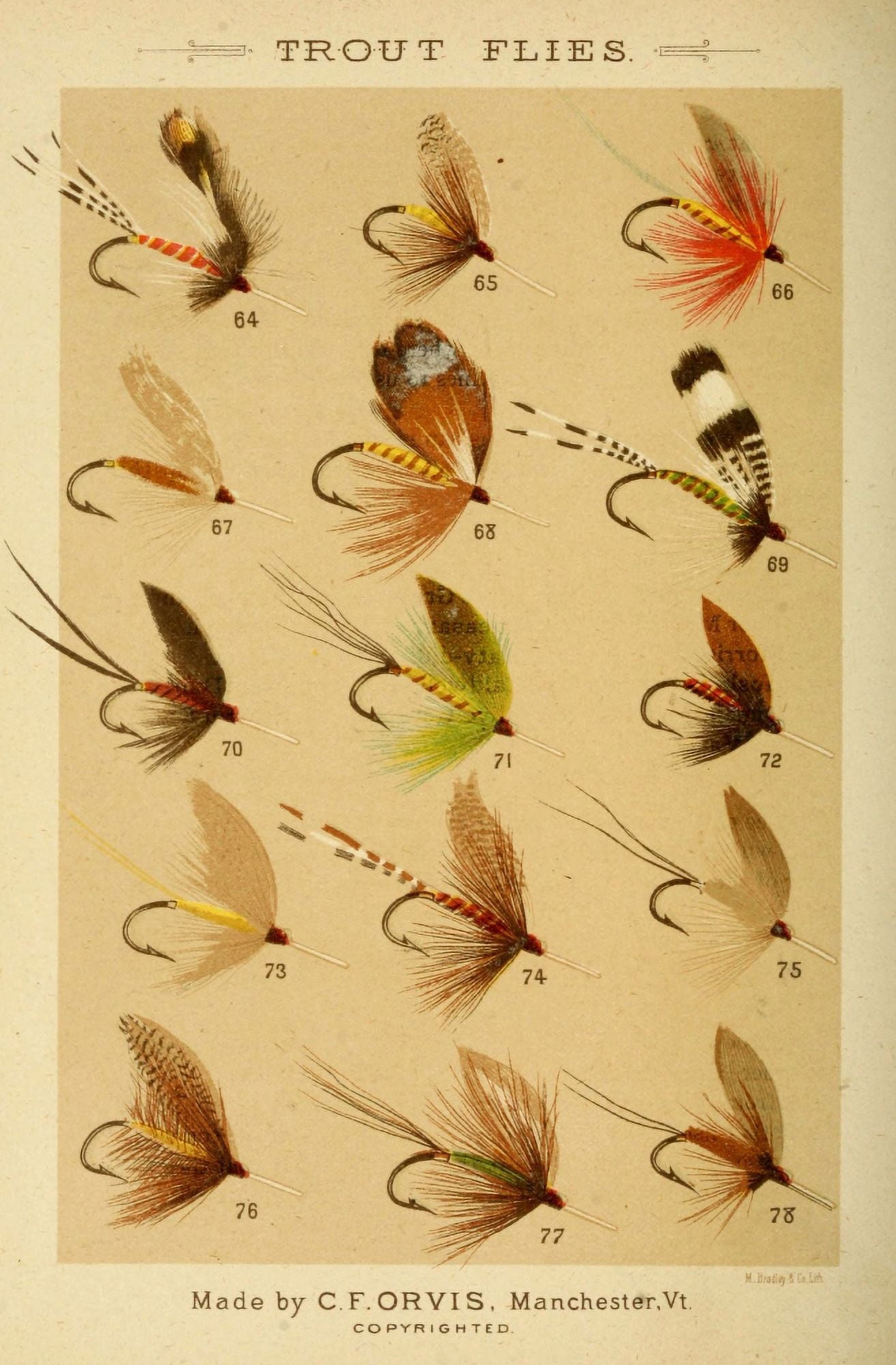 Fishing with the Fly 1883 Trout Flies 5 Canvas Art - Unknown (18 x 24)