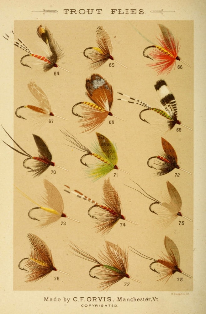 Fishing with the Fly 1883 Trout Flies 5 Canvas Art - Unknown (24 x 36)