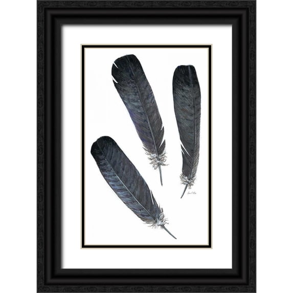Fisk, Arnie 10x14 Black Ornate Wood Framed with Double Matting Museum Art Print Titled - Feather Study 2