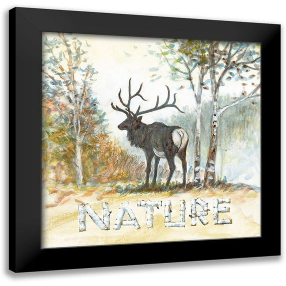 Fisk, Arnie 12x12 Black Modern Framed Museum Art Print Titled - Nature