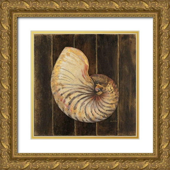 Fisk, Arnie 12x12 Gold Ornate Wood Framed with Double Matting Museum Art Print Titled - Ocean Nautilus