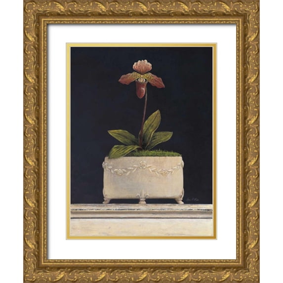 Fisk, Arnie 15x18 Gold Ornate Wood Framed with Double Matting Museum Art Print Titled - Plum Sugar Orchid