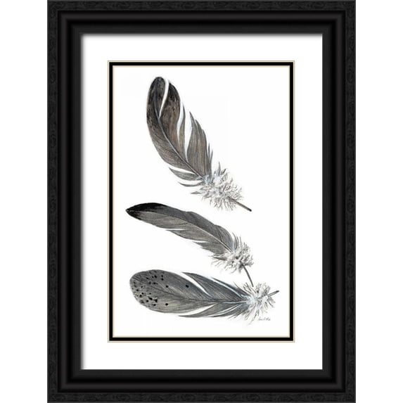Fisk, Arnie 17x24 Black Ornate Wood Framed with Double Matting Museum Art Print Titled - Feather Study 3