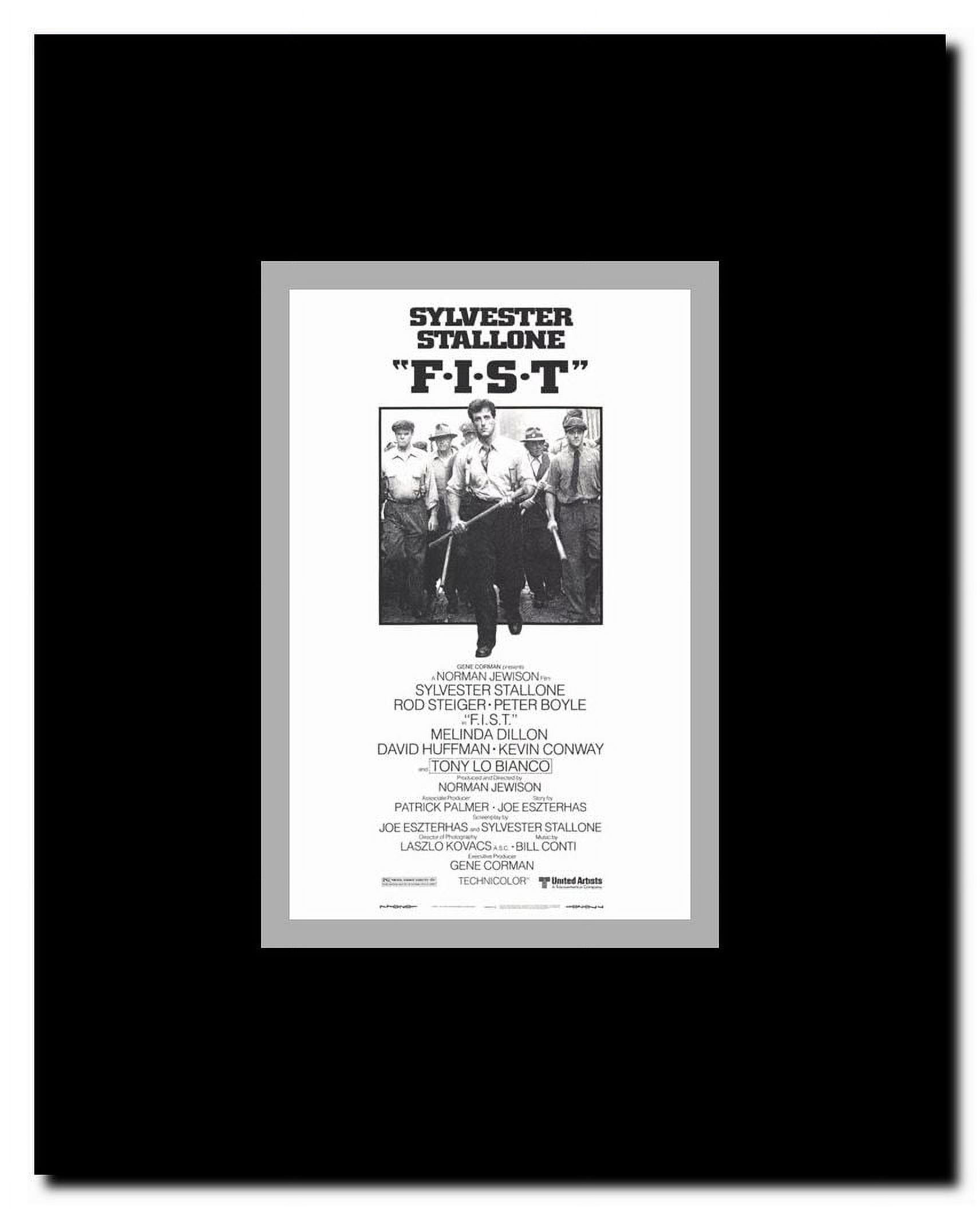 Fist Framed Movie Poster