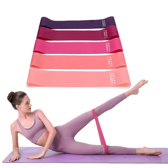 Fit Simplify Resistance Loop Exercise Bands with Instruction Guide and Carry Bag, Set of 5 Multi-Purpose Resistance Fitness Equipment Workout Straps