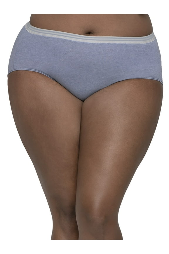 Women's Plus Assorted Heather Brief Panties - 5 Pack
