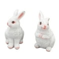 thumbnail image 1 of FitBest A Pair Of Sculpture Crafts, Animal Ornaments, Micro Landscape, Potted Decoration, 1 of 8