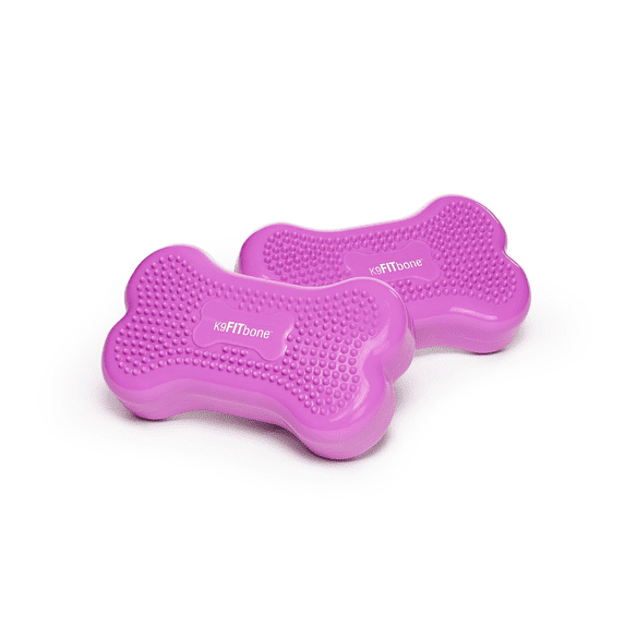 FitPAWS® K9FITbone® - Mini (Set of 2) | Dog Balance Training Platform & Exercise Equipment | Workout Tool for Strength, Core & Stability - Razzleberry