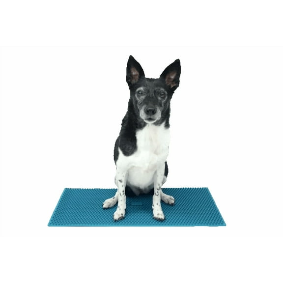 FitPAWS K9 FitMat | 24" x 12" | Dog Exercise Equipment for Fitness & Rehabilitation