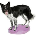 thumbnail image 1 of FitPAWS® Dog Balance Disc - Razzleberry, 22" | Dog Exercise Equipment | Workout Tool for Strength, Core, Stability & Rehabilitation, 1 of 5