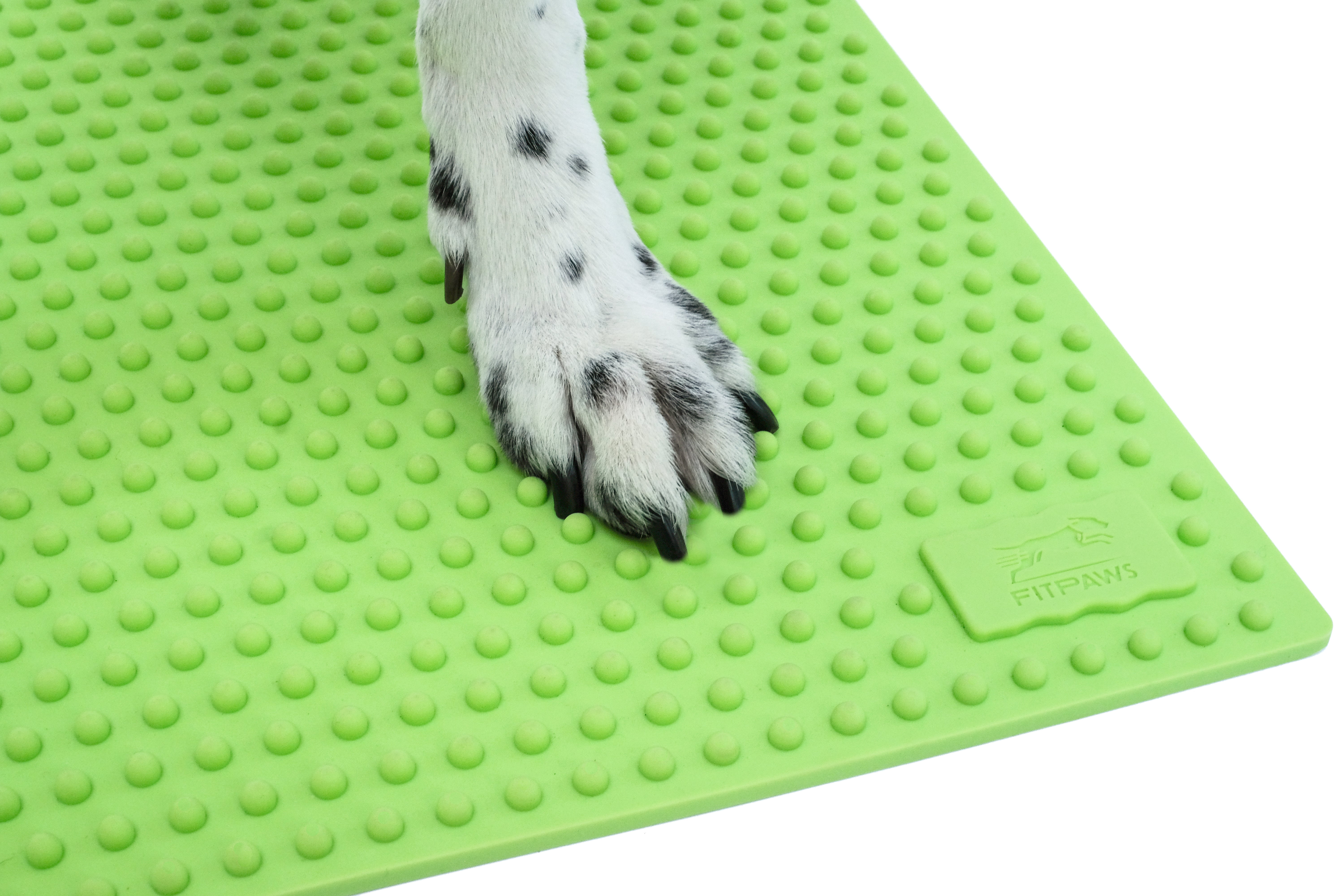 FitPAWS® Trax Dog Training Targets 10
