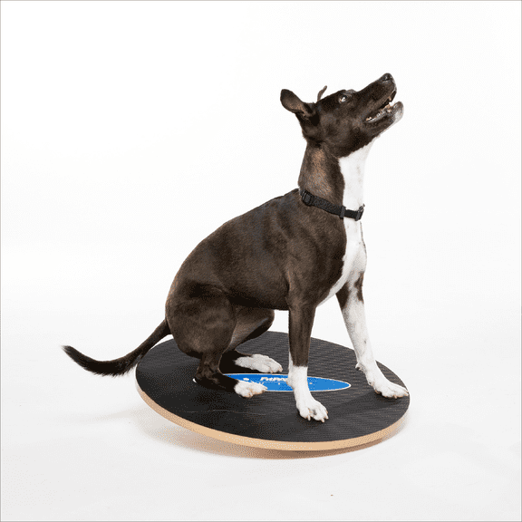FitPAWS® Wobble Board - Dog Balance Training Equipment for Core ...
