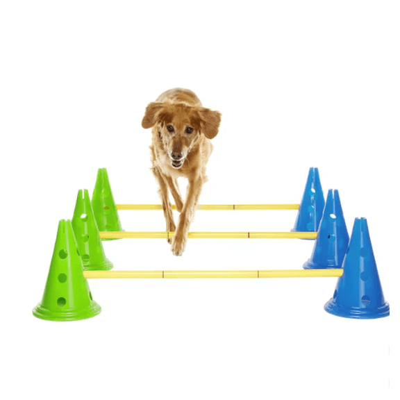 FitPaws CanineGym Dog Agility Kit Bundle, Cavaletti 6-count
